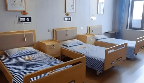 火种纪元