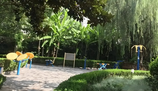 抢个明星当男神